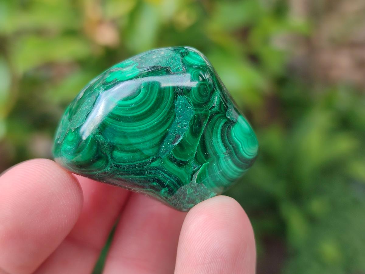 Polished Flower Banded Malachite Free Forms x 35 From Congo - Toprock Gemstones and Minerals 
