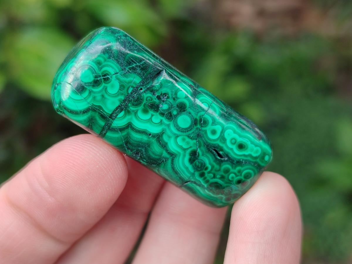 Polished Flower Banded Malachite Free Forms x 35 From Congo - Toprock Gemstones and Minerals 