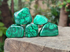 Polished Flower Banded Malachite Free Forms x 35 From Congo - Toprock Gemstones and Minerals 