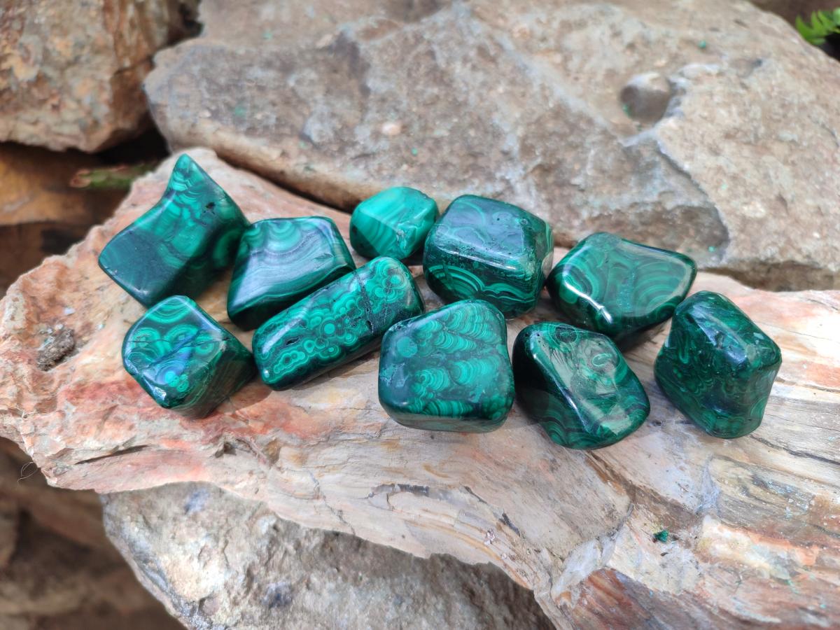 Polished Flower Banded Malachite Free Forms x 35 From Congo - Toprock Gemstones and Minerals 