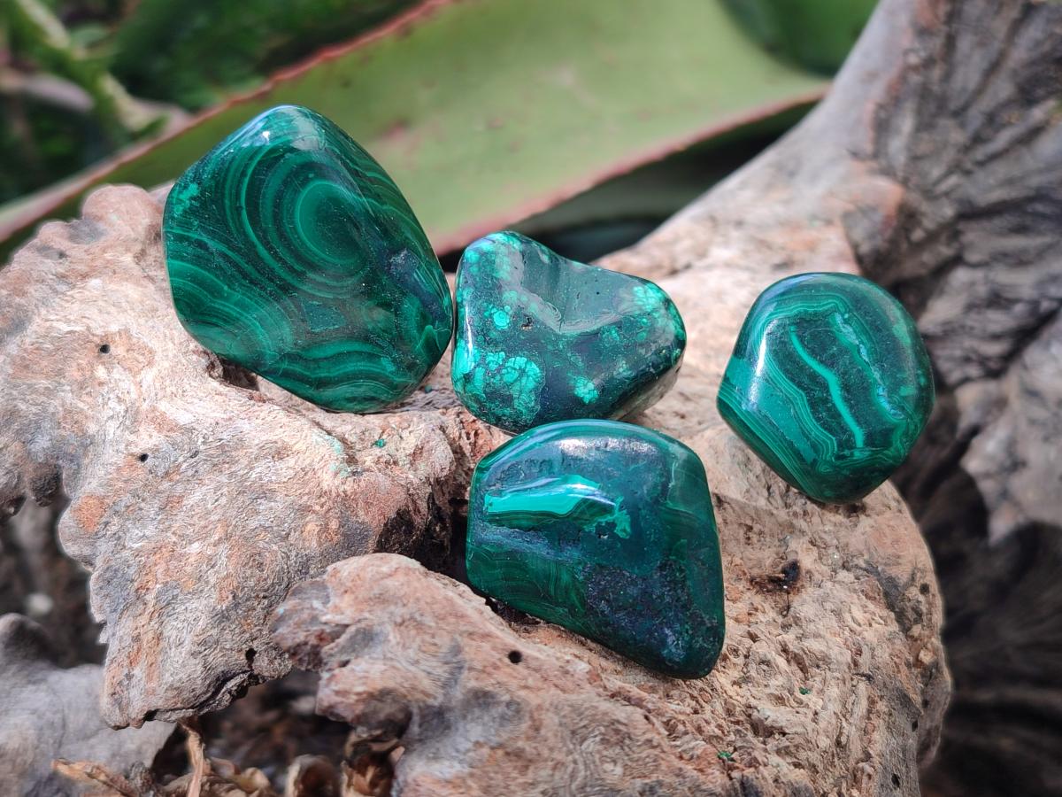 Polished Flower Banded Malachite Free Forms x 35 From Congo - Toprock Gemstones and Minerals 