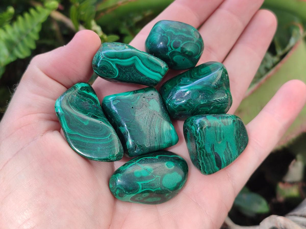 Polished Flower Banded Malachite Free Forms x 35 From Congo - Toprock Gemstones and Minerals 