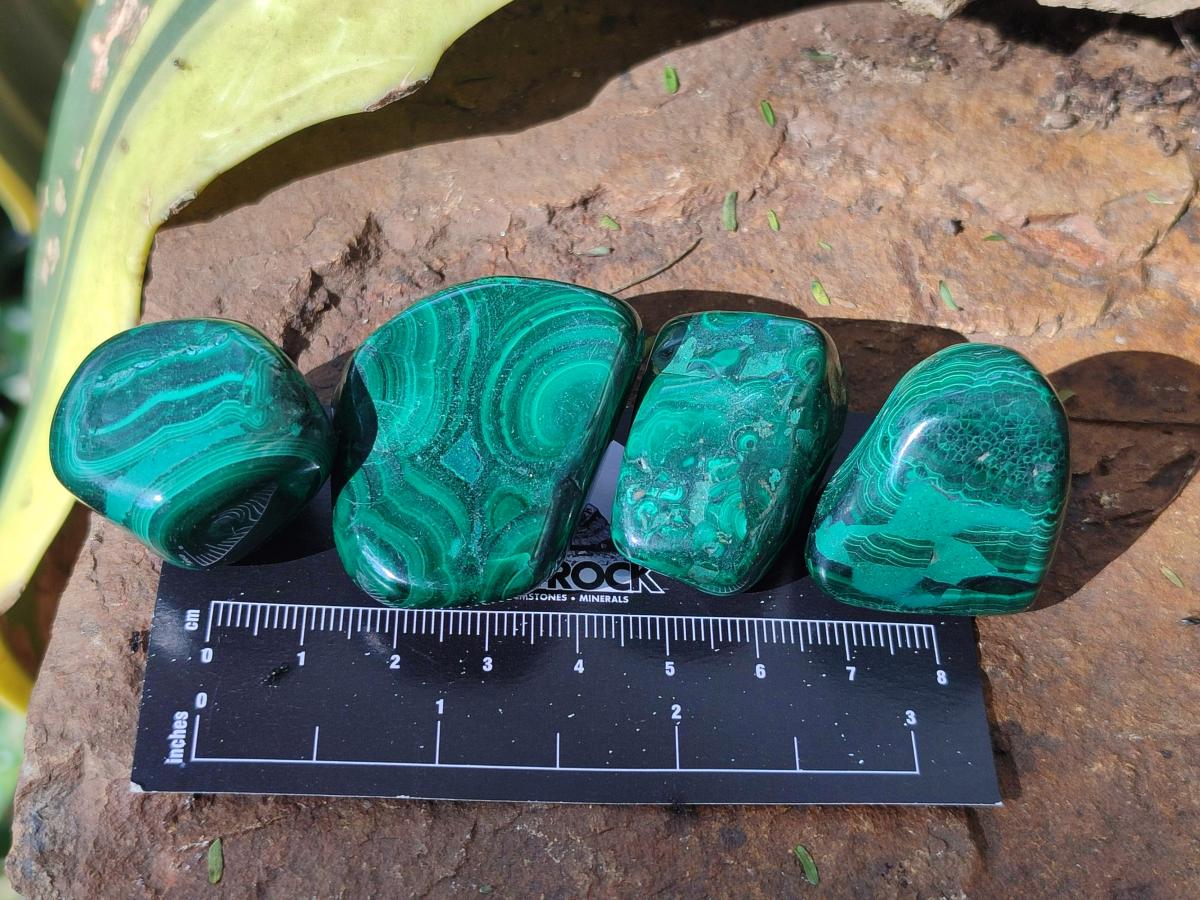 Polished Flower Banded Malachite Free Forms x 35 From Congo - Toprock Gemstones and Minerals 