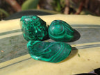 Polished Flower Banded Malachite Free Forms x 35 From Congo - Toprock Gemstones and Minerals 