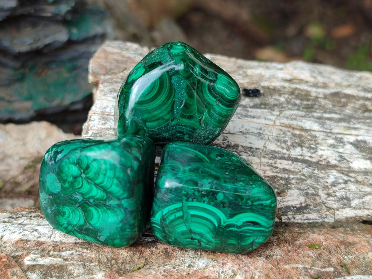 Polished Flower Banded Malachite Free Forms x 35 From Congo - Toprock Gemstones and Minerals 