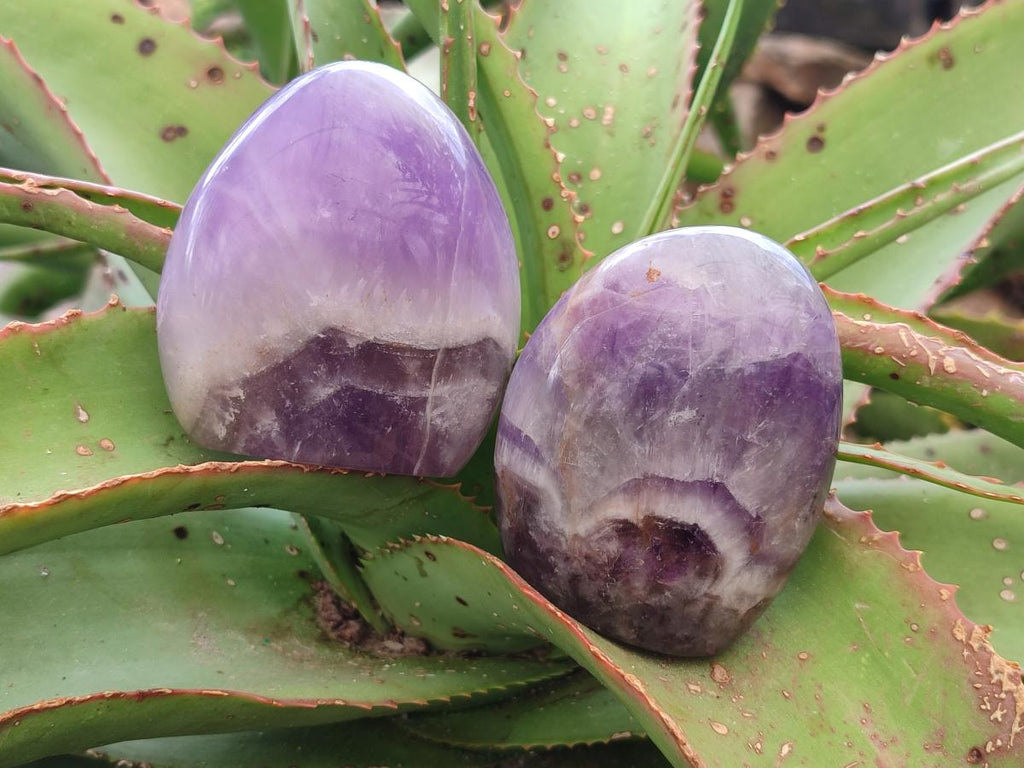 Polished Purple Chevron Amethyst Standing Free Forms x 4 From Madagascar - Toprock Gemstones and Minerals 