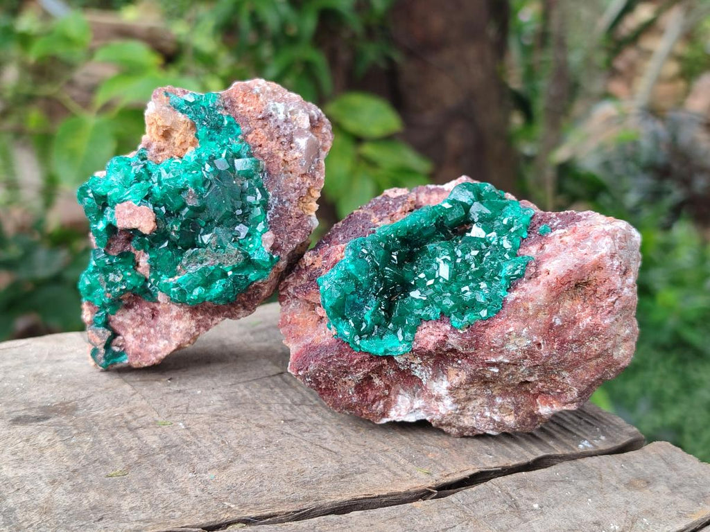 Natural Dioptase on Dolomite Specimens x 3 From Likasi, Congo - Toprock Gemstones and Minerals 