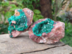 Natural Dioptase on Dolomite Specimens x 3 From Likasi, Congo - Toprock Gemstones and Minerals 