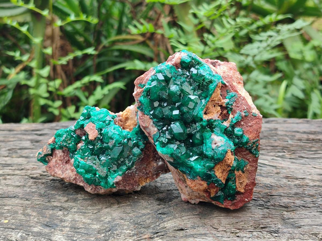 Natural Dioptase on Dolomite Specimens x 3 From Likasi, Congo - Toprock Gemstones and Minerals 