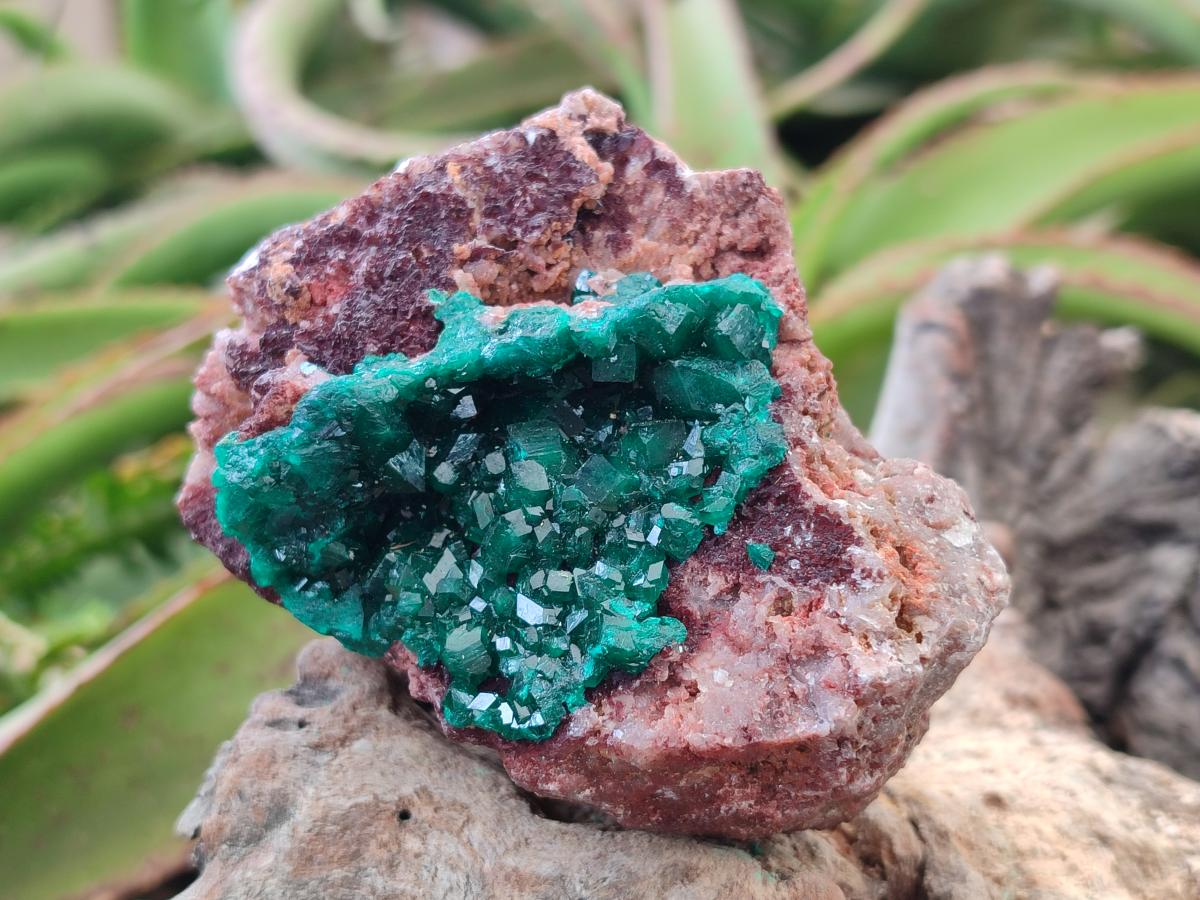 Natural Dioptase on Dolomite Specimens x 3 From Likasi, Congo - Toprock Gemstones and Minerals 