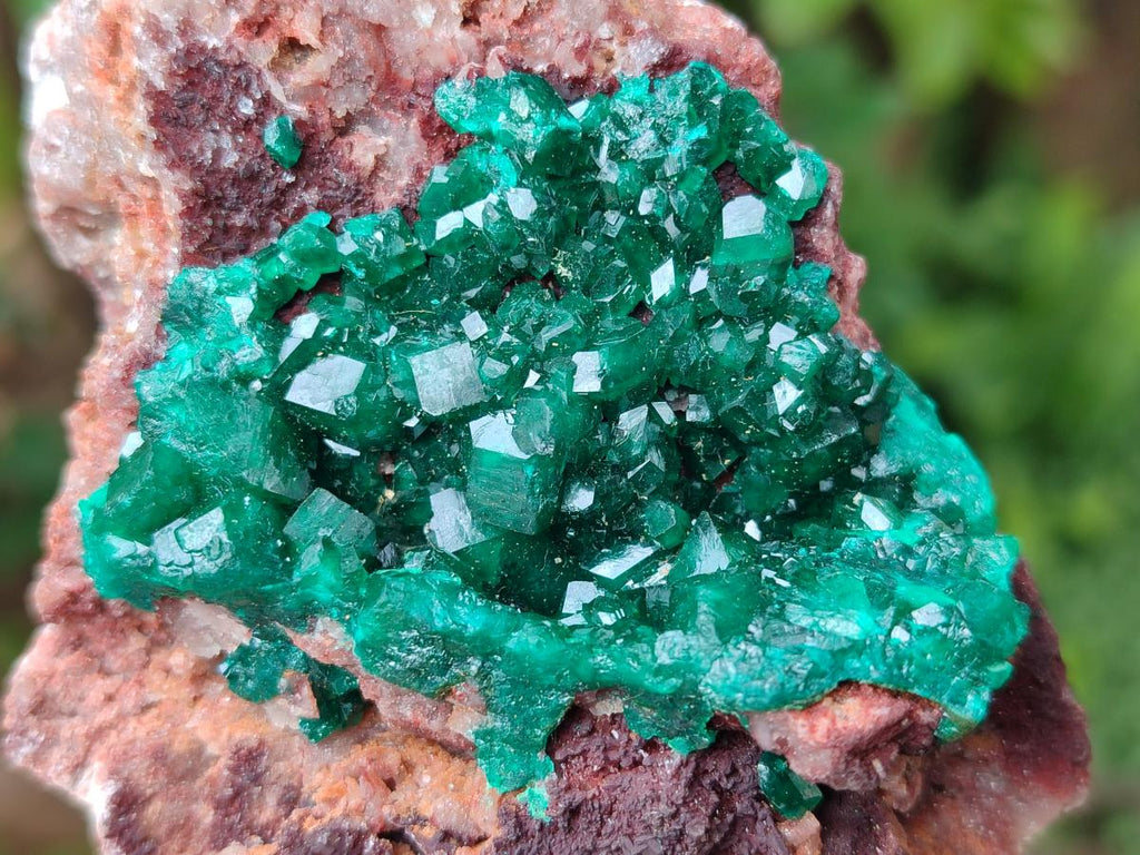 Natural Dioptase on Dolomite Specimens x 3 From Likasi, Congo - Toprock Gemstones and Minerals 