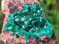 Natural Dioptase on Dolomite Specimens x 3 From Likasi, Congo - Toprock Gemstones and Minerals 