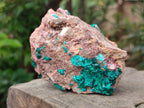 Natural Dioptase on Dolomite Specimens x 3 From Likasi, Congo - Toprock Gemstones and Minerals 