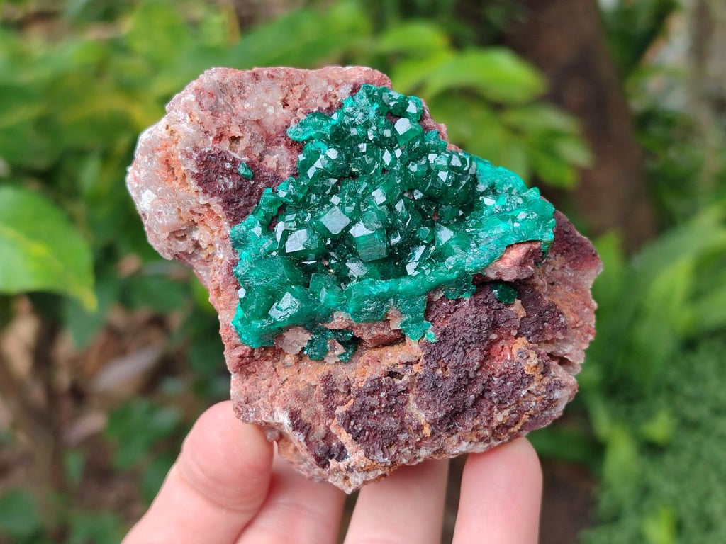 Natural Dioptase on Dolomite Specimens x 3 From Likasi, Congo - Toprock Gemstones and Minerals 