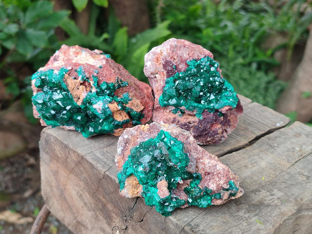 Natural Dioptase on Dolomite Specimens x 3 From Likasi, Congo - Toprock Gemstones and Minerals 