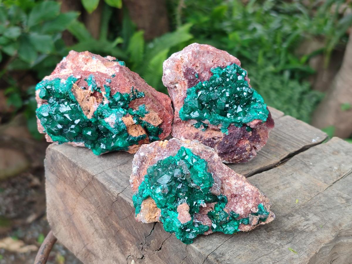 Natural Dioptase on Dolomite Specimens x 3 From Likasi, Congo - Toprock Gemstones and Minerals 
