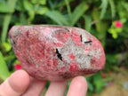 Polished Rhodonite Free Forms x 6 From Rhusinga, Zimbabwe - Toprock Gemstones and Minerals 