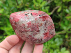 Polished Rhodonite Free Forms x 6 From Rhusinga, Zimbabwe - Toprock Gemstones and Minerals 