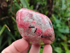 Polished Rhodonite Free Forms x 6 From Rhusinga, Zimbabwe - Toprock Gemstones and Minerals 
