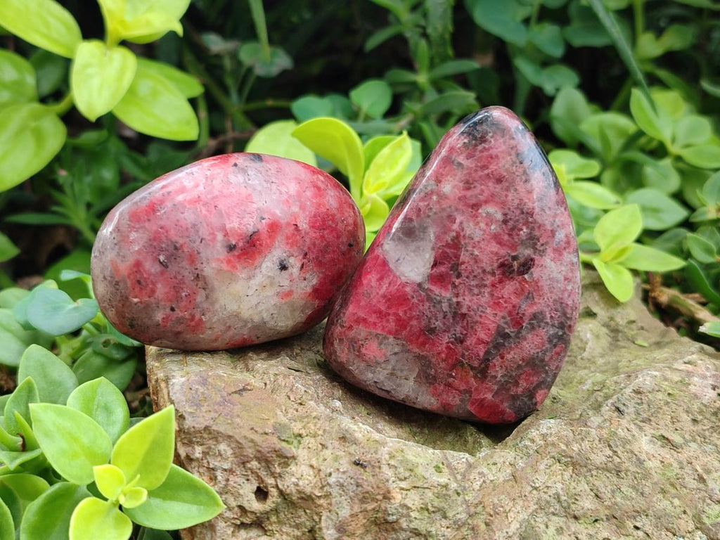 Polished Rhodonite Free Forms x 6 From Rhusinga, Zimbabwe - Toprock Gemstones and Minerals 