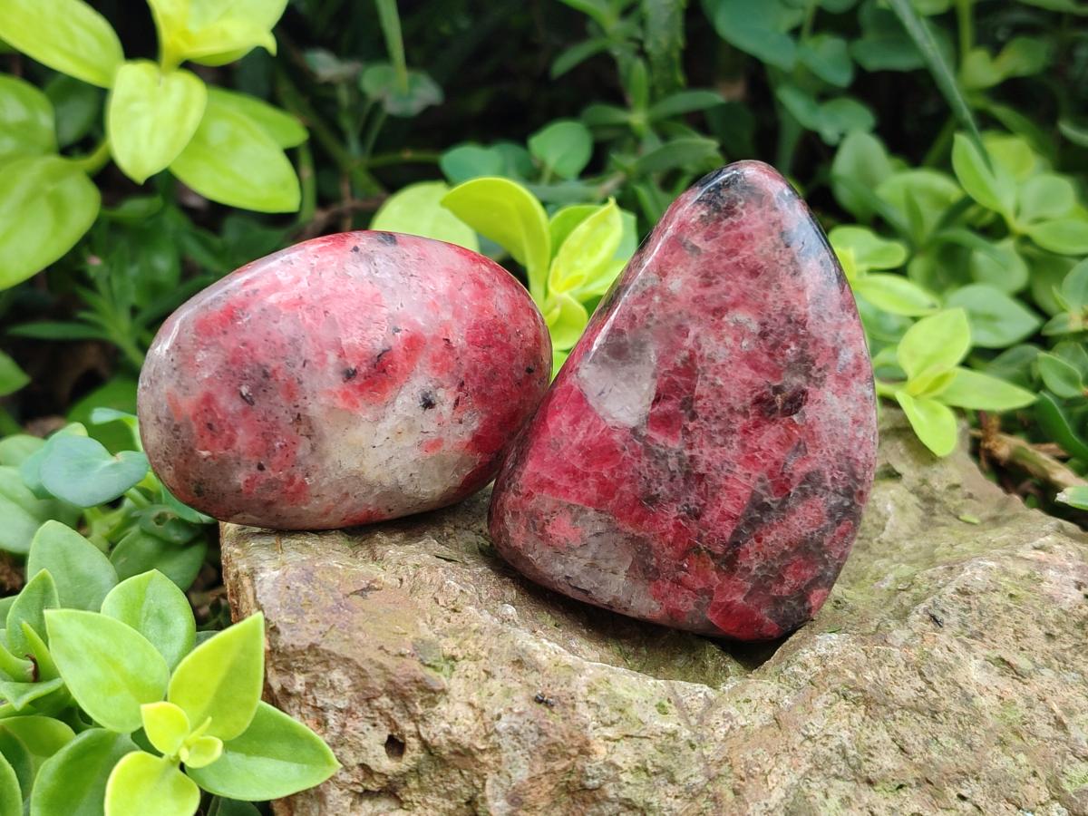 Polished Rhodonite Free Forms x 6 From Rhusinga, Zimbabwe - Toprock Gemstones and Minerals 