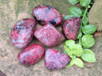Polished Rhodonite Free Forms x 6 From Rhusinga, Zimbabwe - Toprock Gemstones and Minerals 
