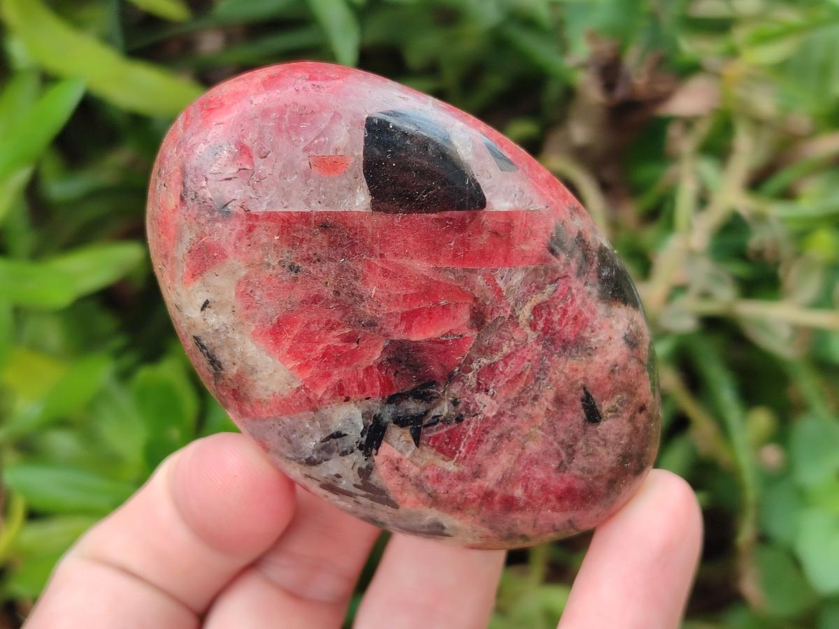 Polished Rhodonite Free Forms x 6 From Rhusinga, Zimbabwe - Toprock Gemstones and Minerals 