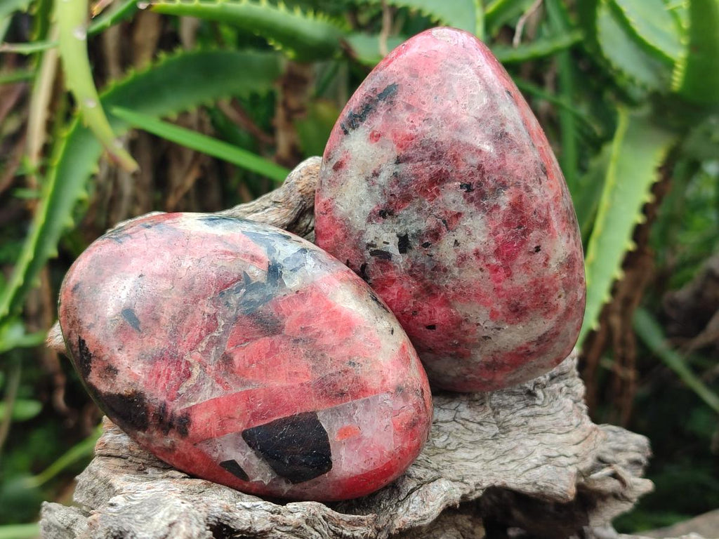 Polished Rhodonite Free Forms x 6 From Rhusinga, Zimbabwe - Toprock Gemstones and Minerals 