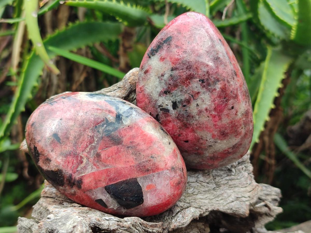 Polished Rhodonite Free Forms x 6 From Rhusinga, Zimbabwe - Toprock Gemstones and Minerals 