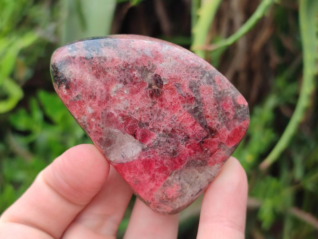 Polished Rhodonite Free Forms x 6 From Rhusinga, Zimbabwe - Toprock Gemstones and Minerals 