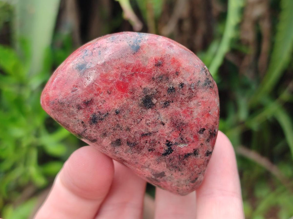 Polished Rhodonite Free Forms x 6 From Rhusinga, Zimbabwe - Toprock Gemstones and Minerals 