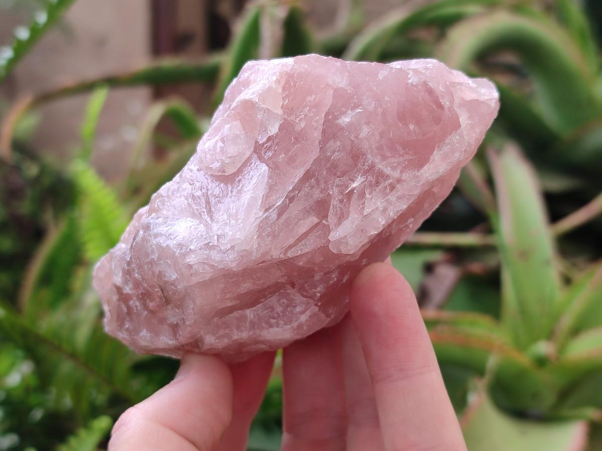 Natural Cobbed Rose Quartz Specimens x 12 From Northern Cape, South Africa - Toprock Gemstones and Minerals 