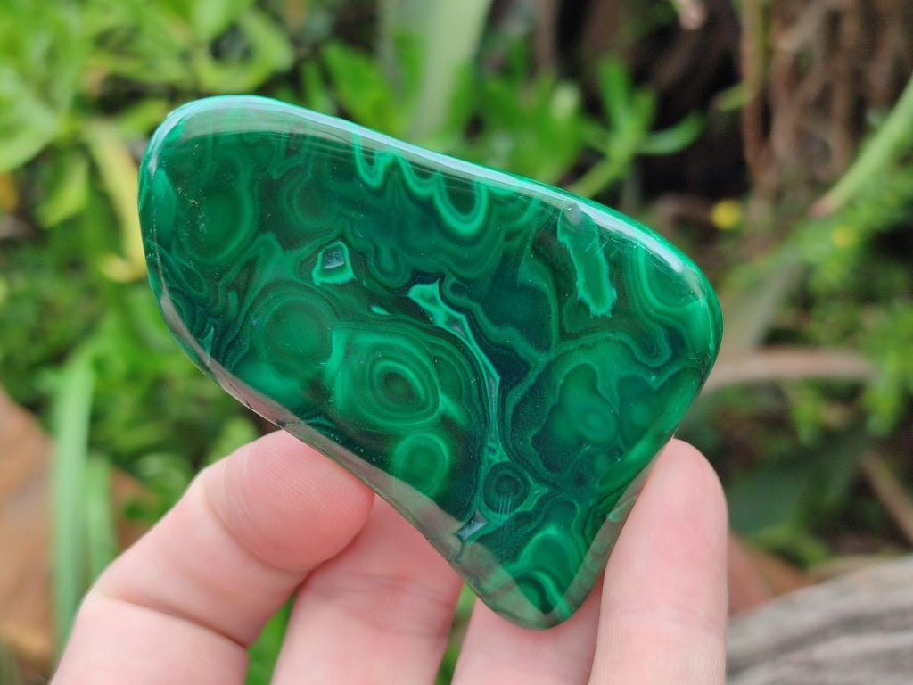 Polished Flower Banded Malachite Free Forms x 24 From Congo - Toprock Gemstones and Minerals 
