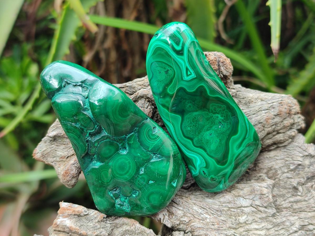 Polished Flower Banded Malachite Free Forms x 24 From Congo - Toprock Gemstones and Minerals 