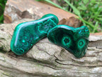 Polished Flower Banded Malachite Free Forms x 24 From Congo - Toprock Gemstones and Minerals 