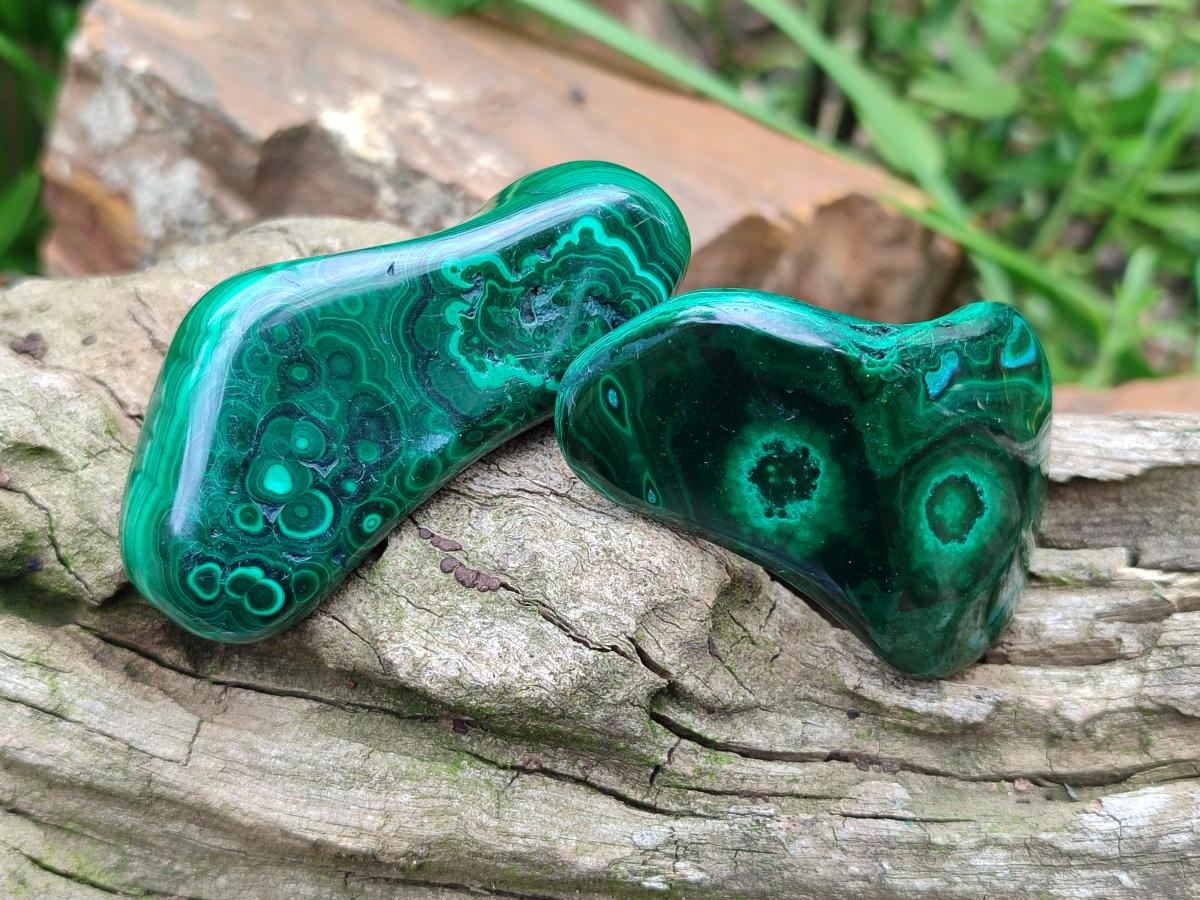 Polished Flower Banded Malachite Free Forms x 24 From Congo - Toprock Gemstones and Minerals 
