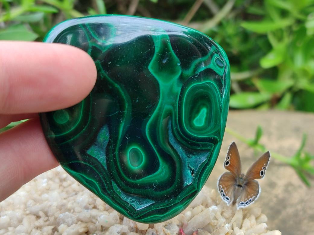 Polished Flower Banded Malachite Free Forms x 24 From Congo - Toprock Gemstones and Minerals 