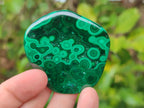 Polished Flower Banded Malachite Free Forms x 24 From Congo - Toprock Gemstones and Minerals 