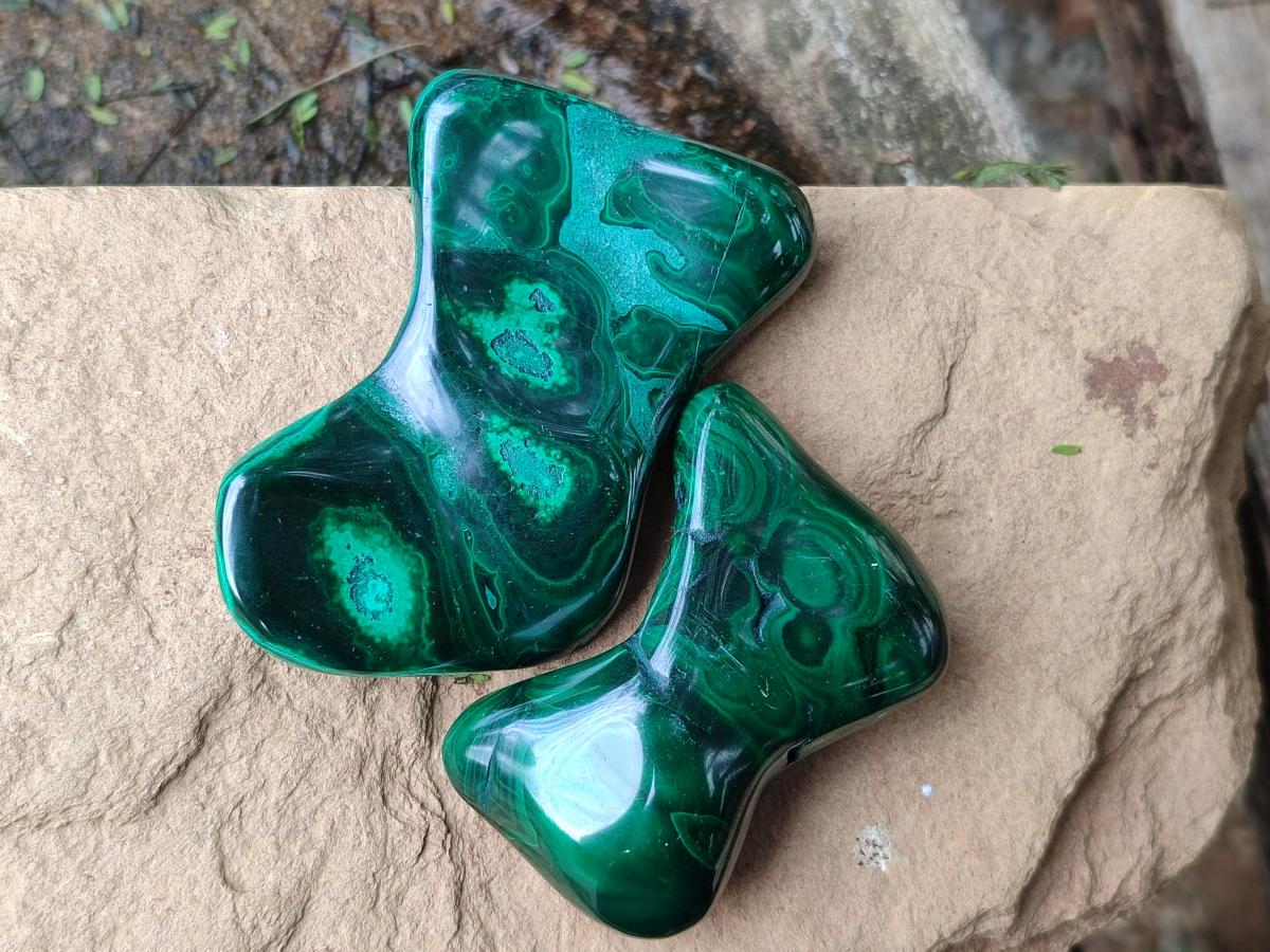 Polished Flower Banded Malachite Free Forms x 24 From Congo - Toprock Gemstones and Minerals 