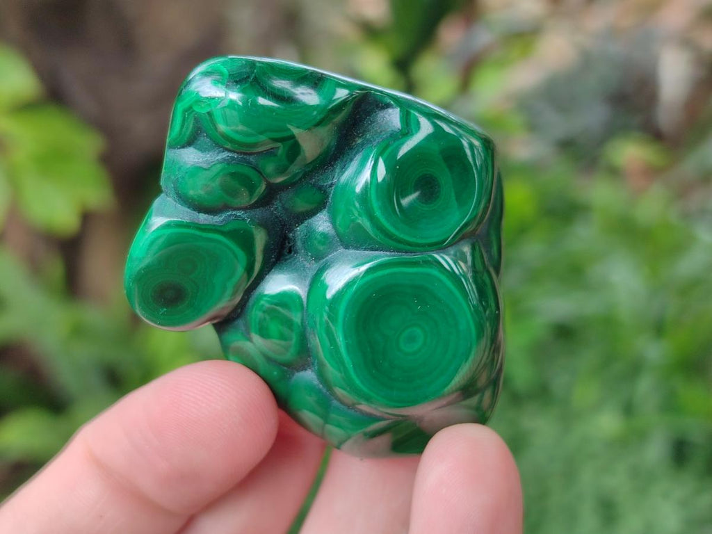 Polished Flower Banded Malachite Free Forms x 24 From Congo - Toprock Gemstones and Minerals 