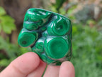 Polished Flower Banded Malachite Free Forms x 24 From Congo - Toprock Gemstones and Minerals 