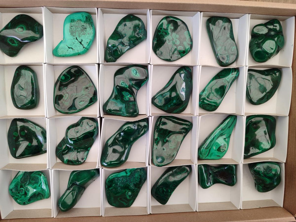 Polished Flower Banded Malachite Free Forms x 24 From Congo - Toprock Gemstones and Minerals 