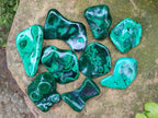 Polished Flower Banded Malachite Free Forms x 24 From Congo - Toprock Gemstones and Minerals 