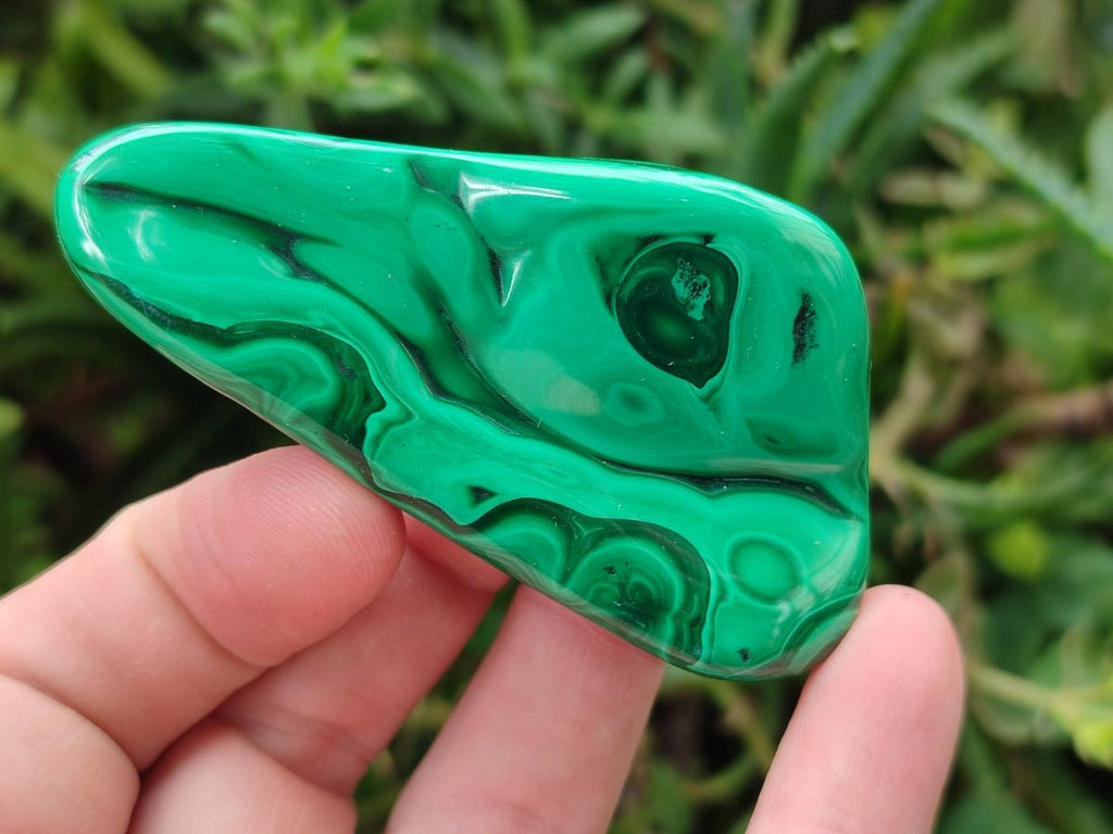 Polished Flower Banded Malachite Free Forms x 24 From Congo - Toprock Gemstones and Minerals 