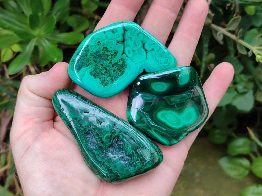 Polished Flower Banded Malachite Free Forms x 24 From Congo - Toprock Gemstones and Minerals 