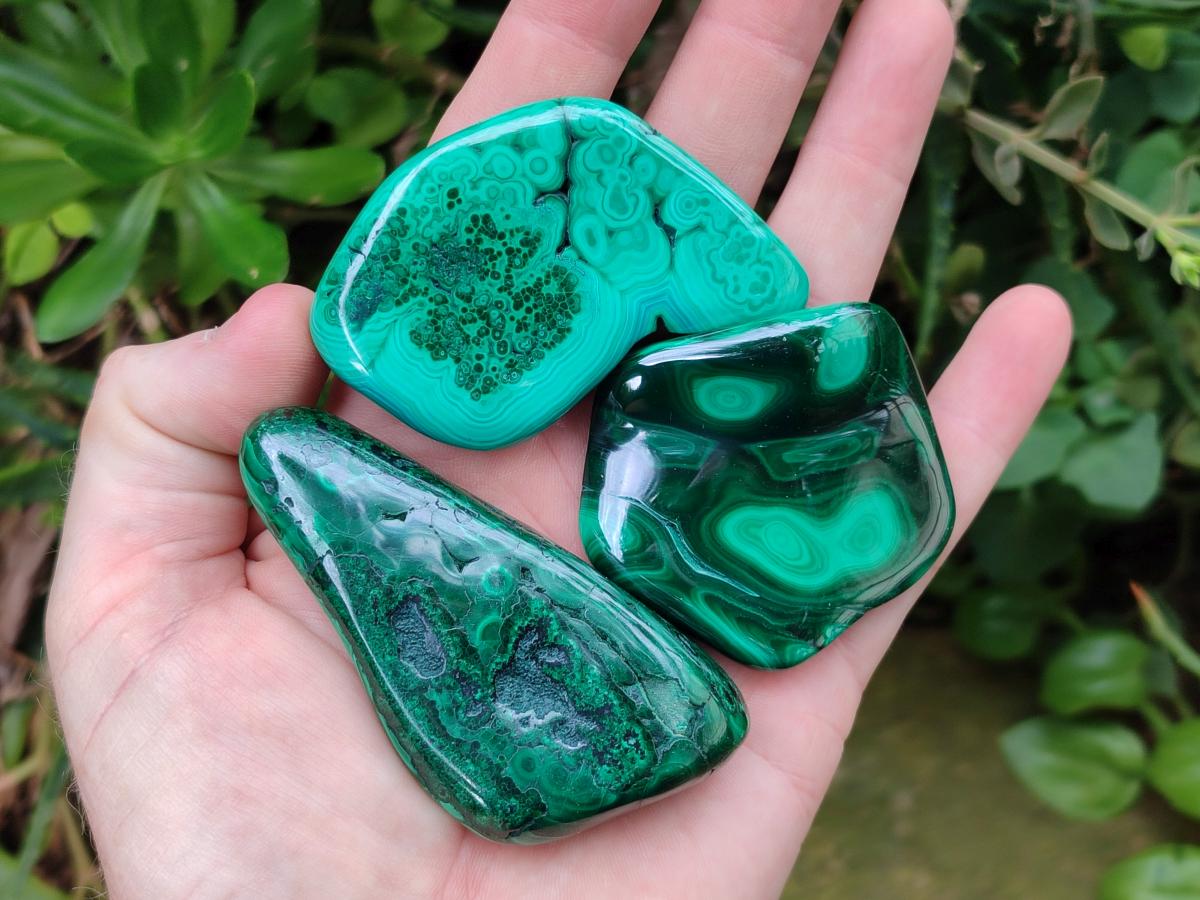 Polished Flower Banded Malachite Free Forms x 24 From Congo - Toprock Gemstones and Minerals 