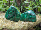 Polished Flower Banded Malachite Free Forms x 24 From Congo - Toprock Gemstones and Minerals 