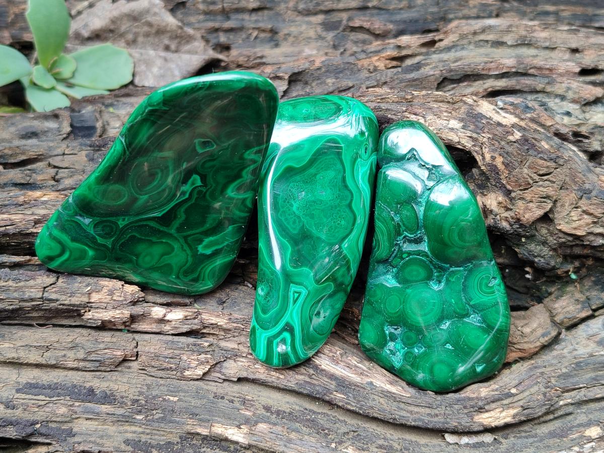 Polished Flower Banded Malachite Free Forms x 24 From Congo - Toprock Gemstones and Minerals 