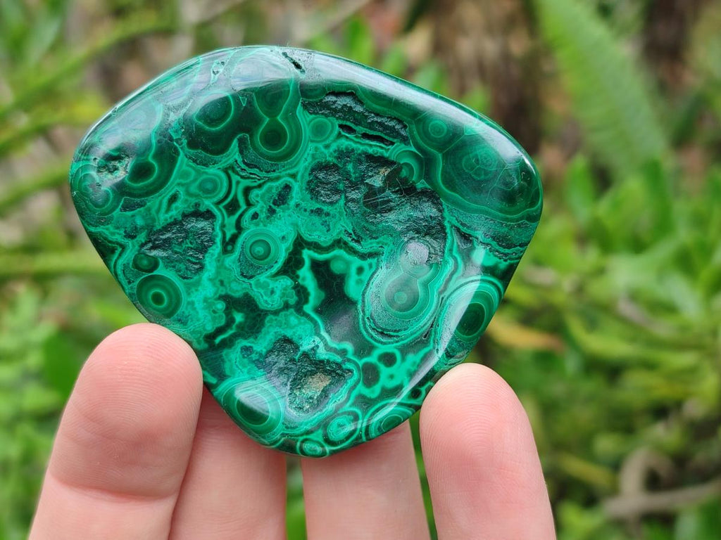 Polished Flower Banded Malachite Free Forms x 24 From Congo - Toprock Gemstones and Minerals 