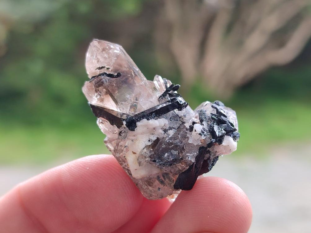 Natural Aegirine Crystals with Associated Minerals x 164 From Zomba, Malawi - Toprock Gemstones and Minerals 